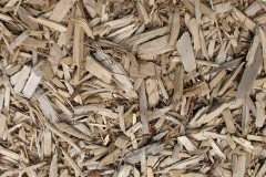biomass boilers Stitchcombe